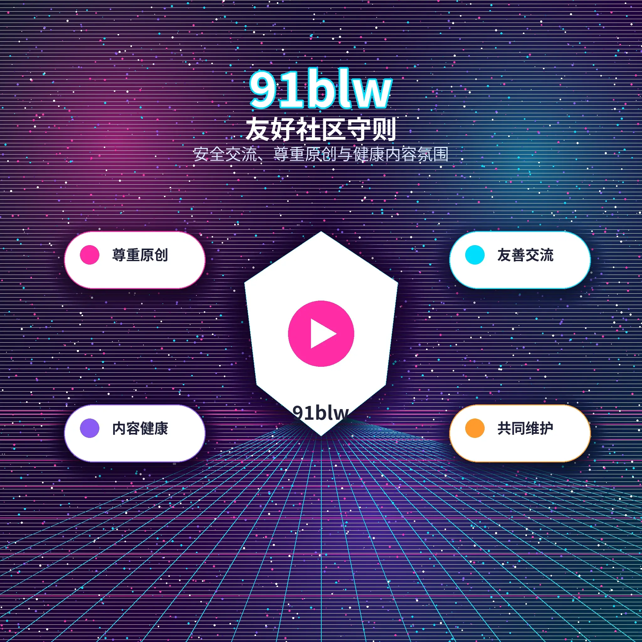 91网账户资料与使用指南展示